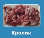 krolik1